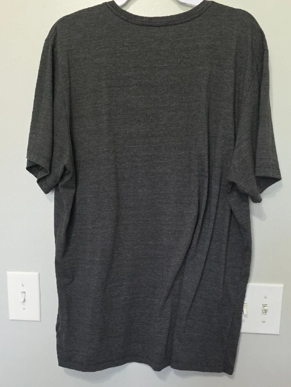 The North Face classic short